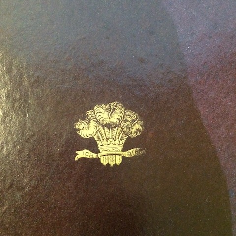 GD-B6g