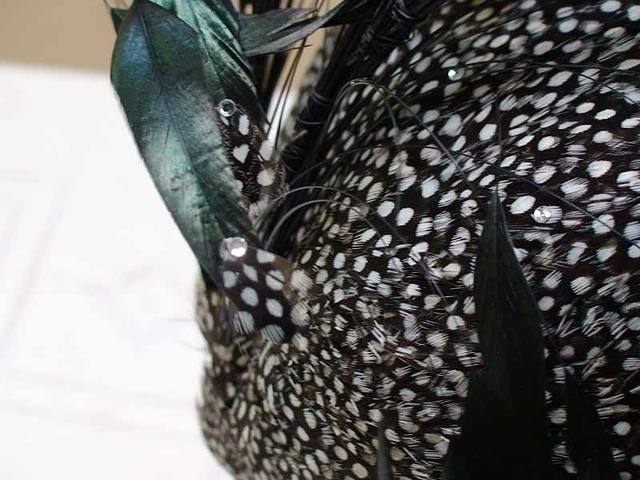 b6e