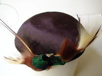 Bird hat