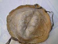 169d
