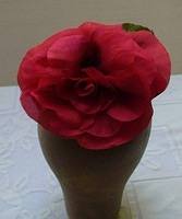 Flower rehab